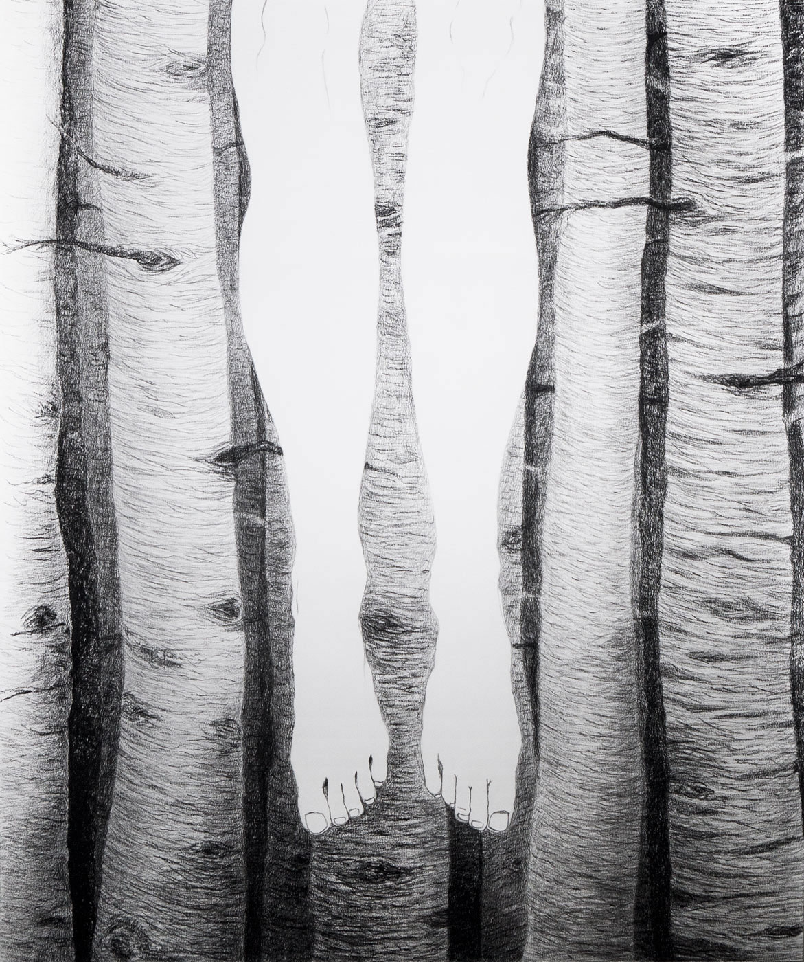 legs birch trees forest finland fairy tale fairytale Folklore feet