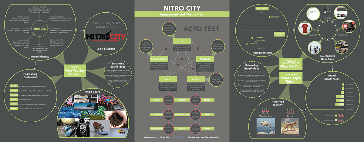 tesla BMW nitro city Cedar Fair Amusement Parks car dealerships Service design Brand Audit ACID test