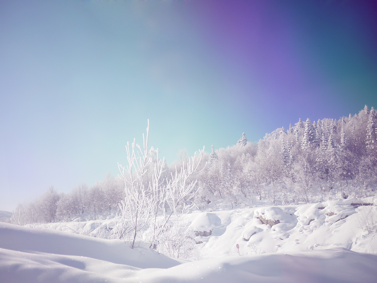 snow quiet lonely Beautiful scenery Travel happy cold cool BEAT