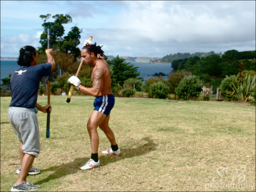 Landscape maori New Zealand Weapon Surf piha beach