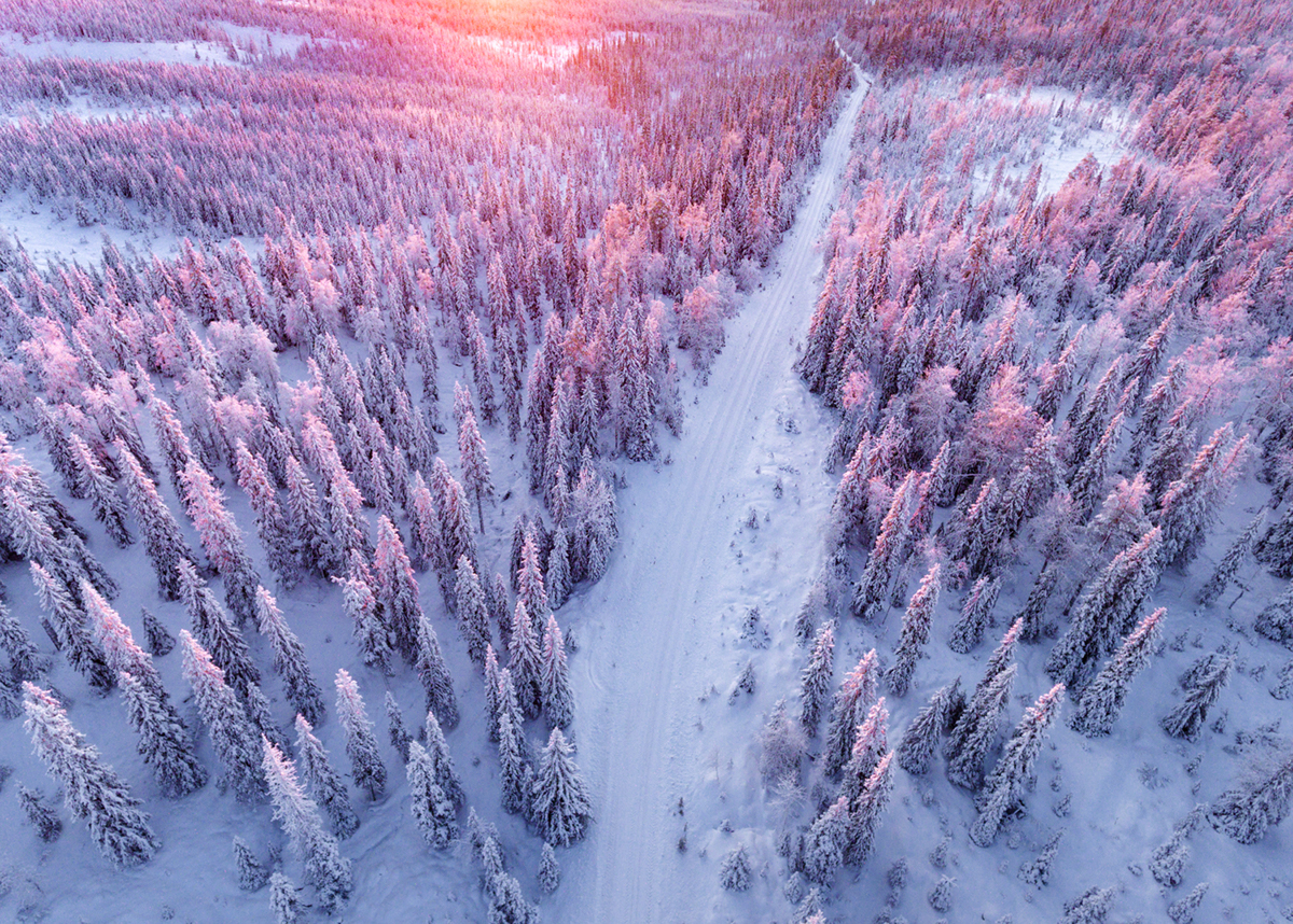 Aerial drone Lapland finland winter Landscape forest
