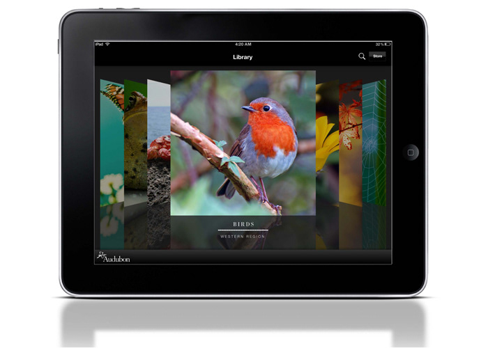audubon society iPad App interactive birds iPad