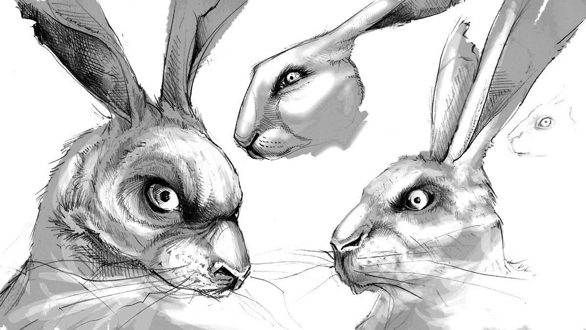 rabbit conceptart sketch hennessy wildrabbit