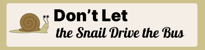 Snail drive the car Sticker