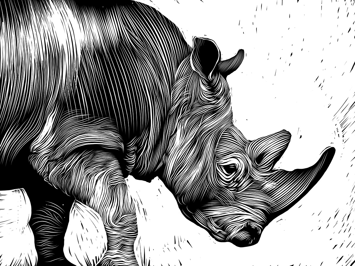 animals black and white COVID-19 covidart Digital Art  Drawing  endangered endangered species scratchboard vector