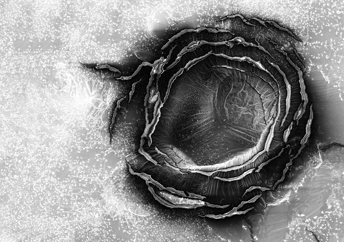 water microscopy science-art micro drop pettern structure trace phenomenon