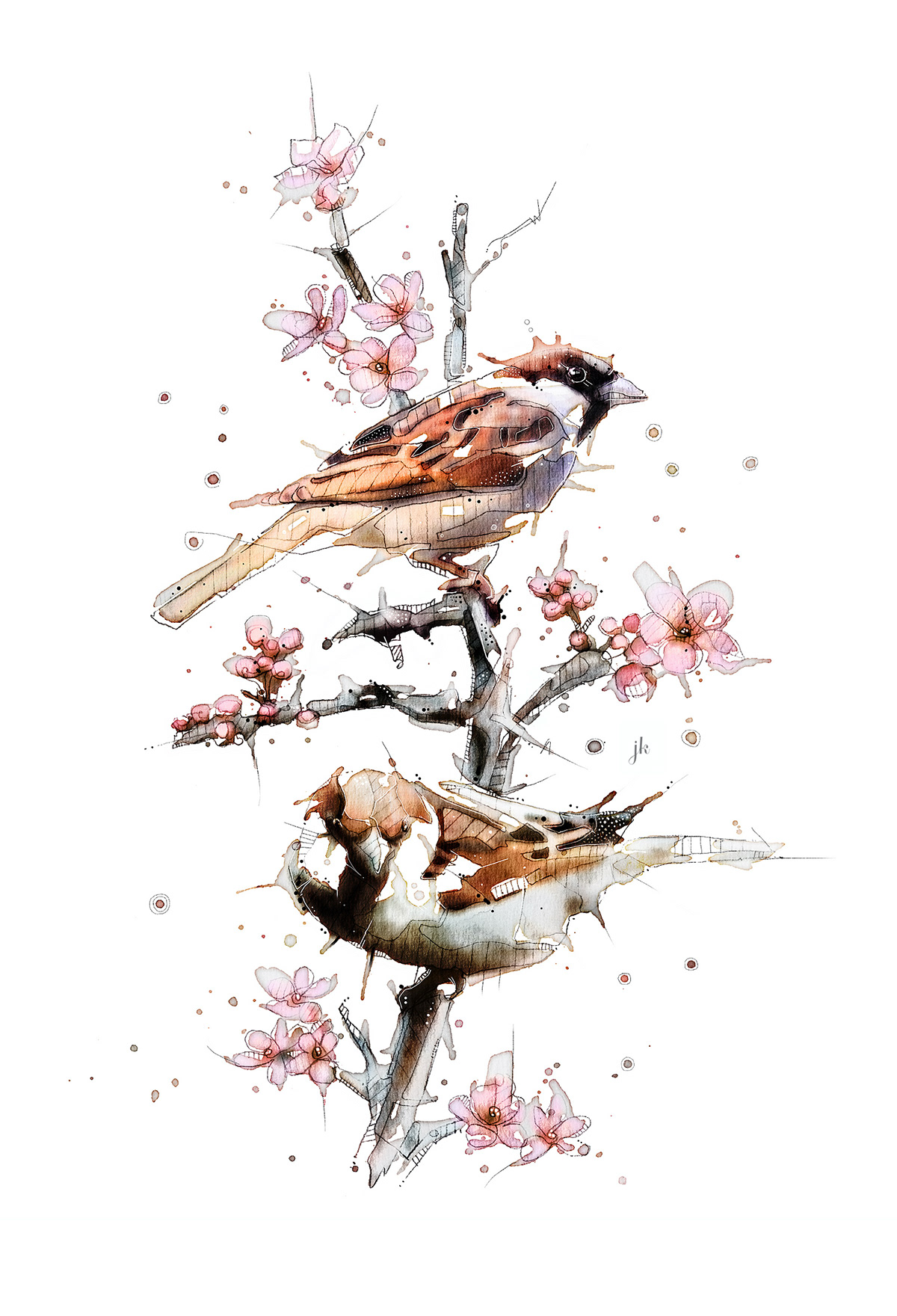 birds watercolor wildlife sparrow animals illustration animal art Nature sketch birdart watercolorbirds