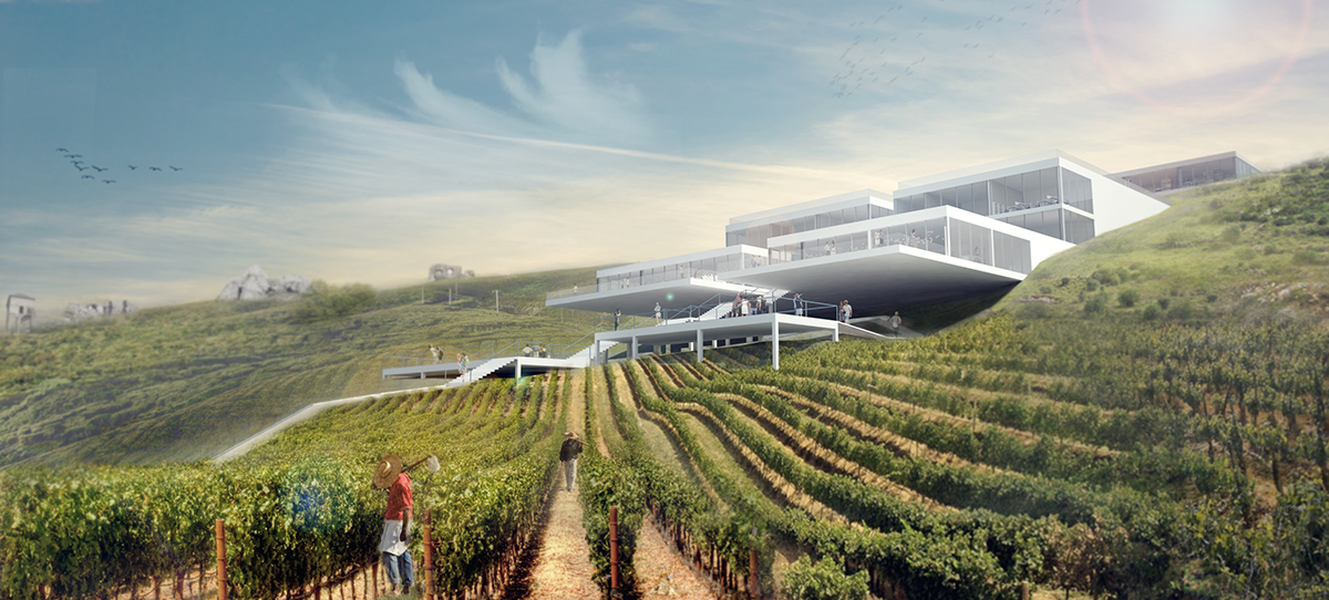 simple Project idea cube Portugal summer WINEYARD museum culture labs White Competition