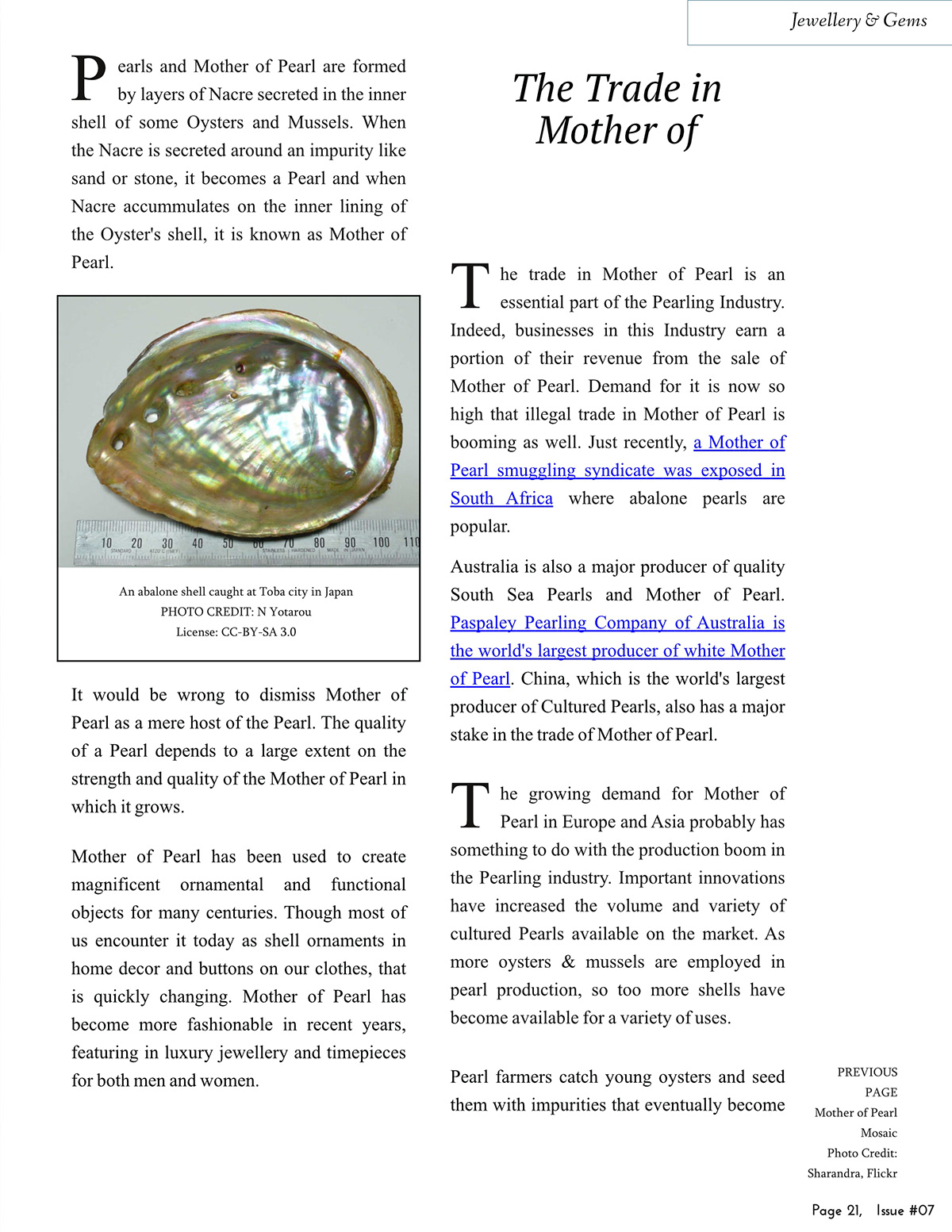 Evolve Issue 07 Of The Hmjs Newsletter Magazine On Behance
