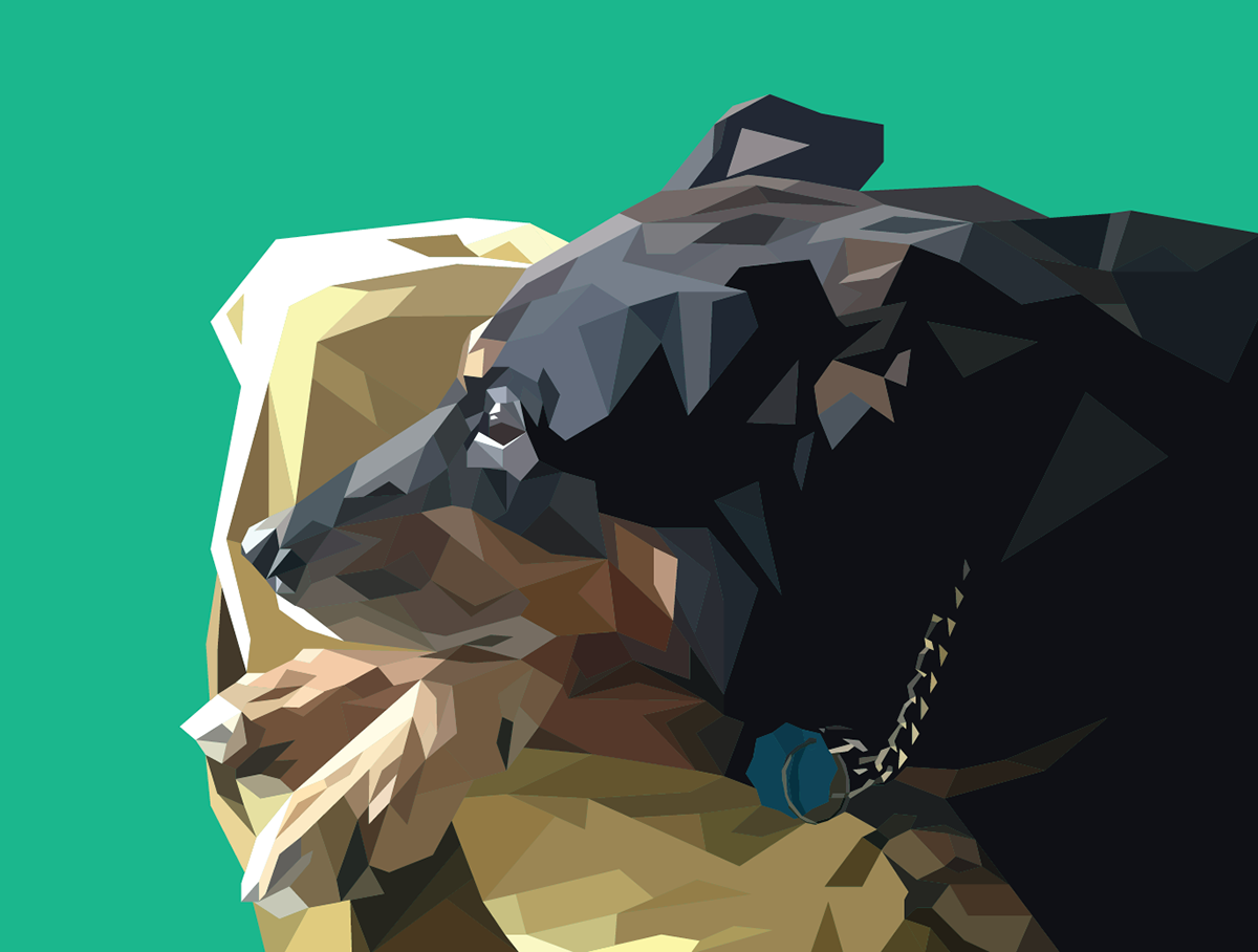 adobe illustrator Digital Art  dog ILLUSTRATION  portrait vector