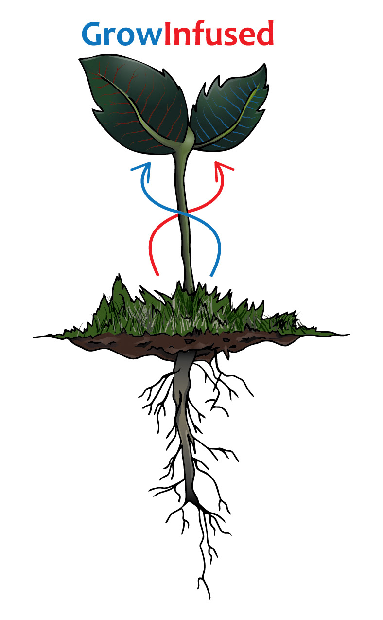 Plant red blue green roots dirt arrows stem veins grow infused brown