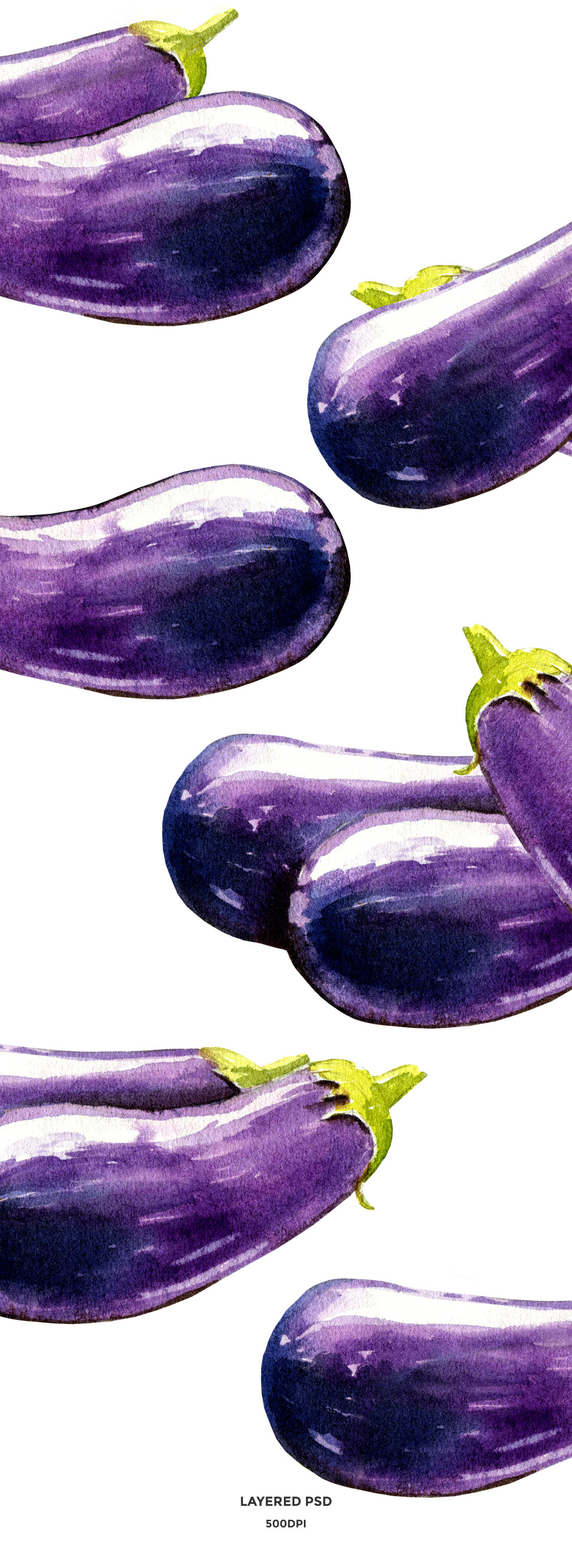 eggplant eggplant watercolor eggplant illustration eggplant isolated eggplant psd vegetable watercolor food watercolor food illustration vegetable illustration