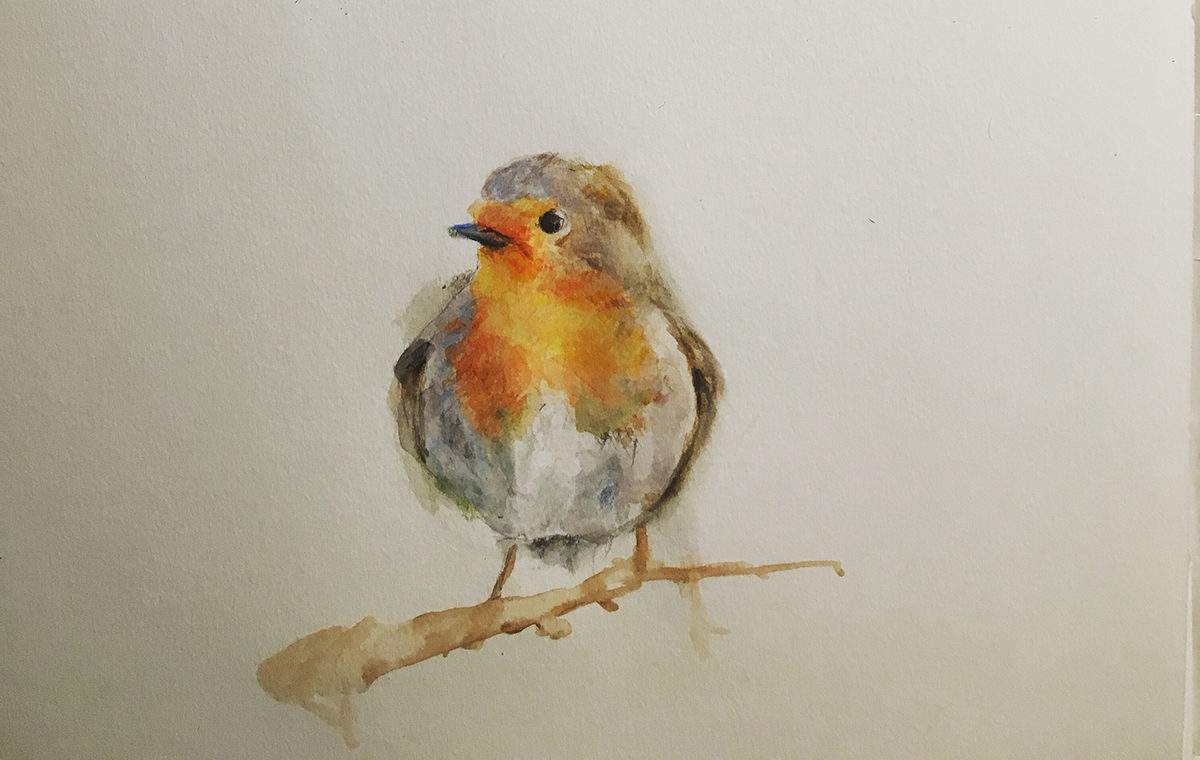 bird acquarelli watercolour