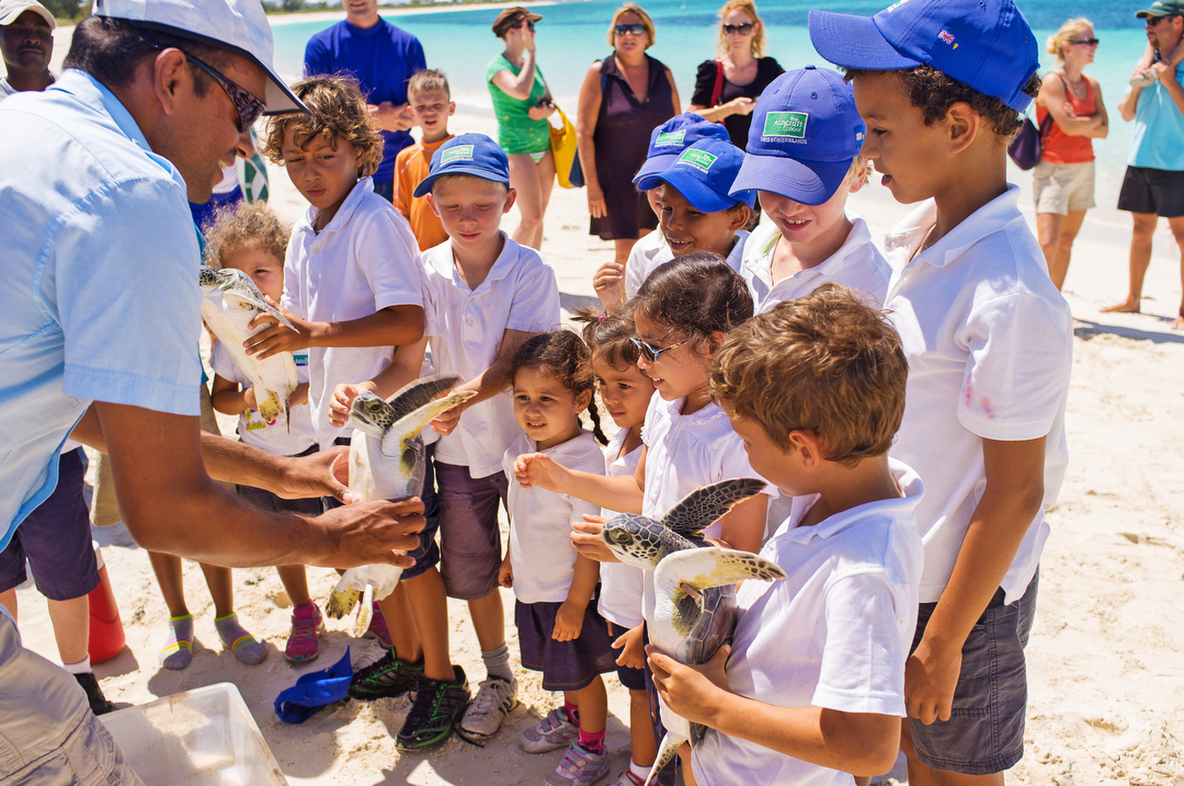 Ecology Nature conservation turks and caicos