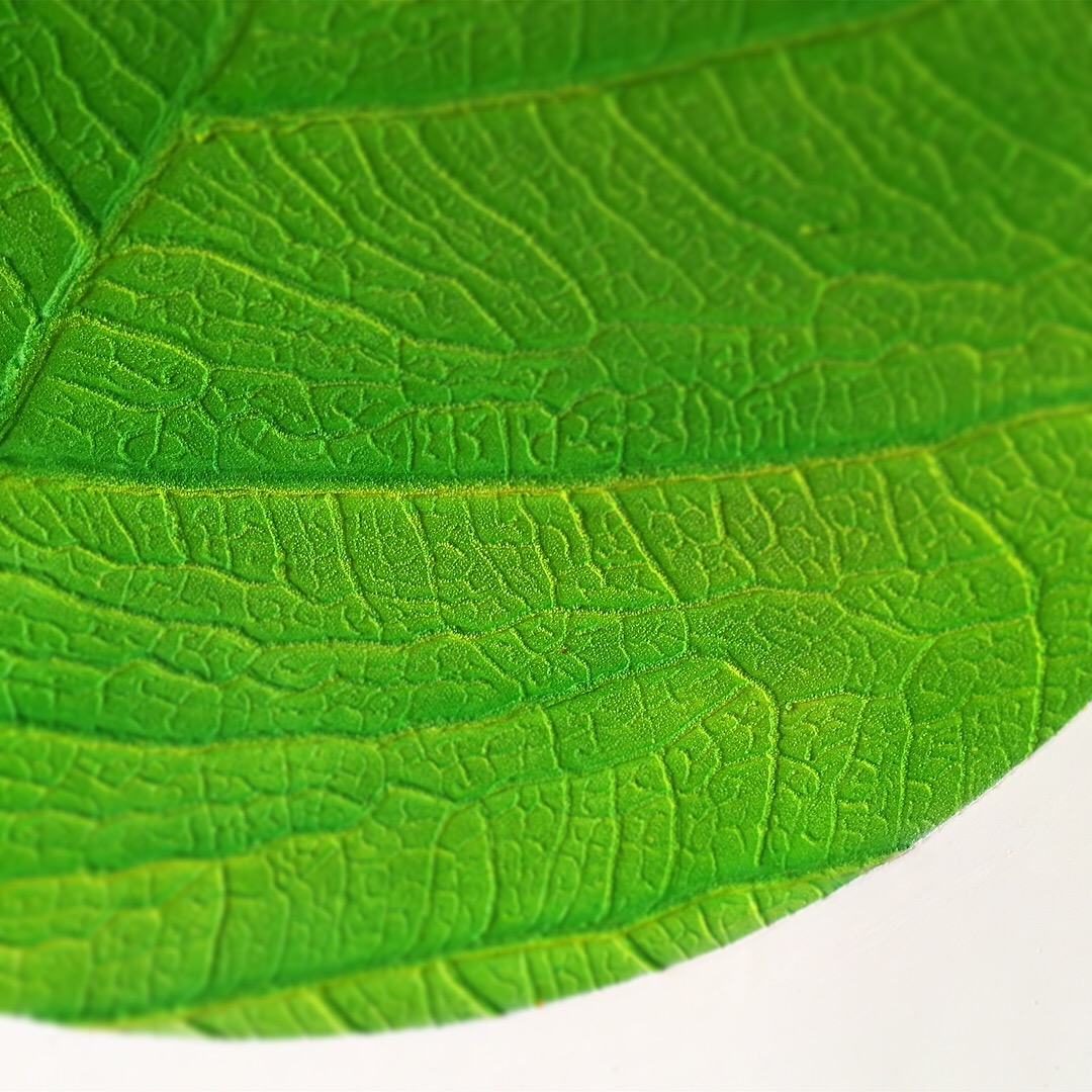 leaf green painting   Nature interior design  Positive