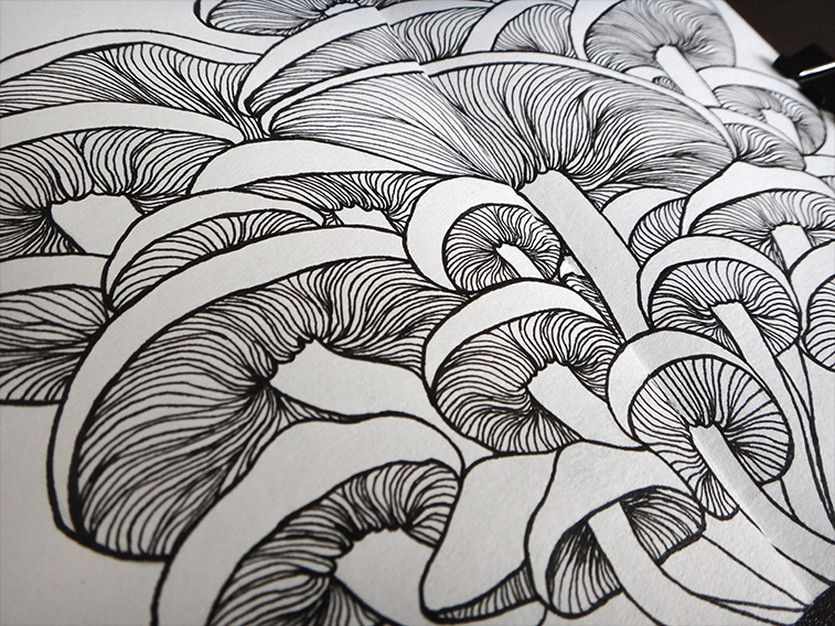 fish black and white bird Mushrooms hair handmade sketchbook banana flower Lotus Tree  doodle art splash