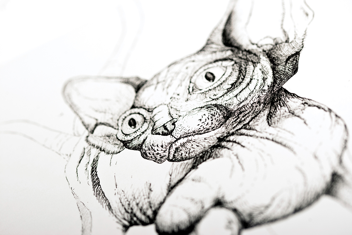pen ILLUSTRATION   drawing ink Rats cats  mutation Black&white sketching