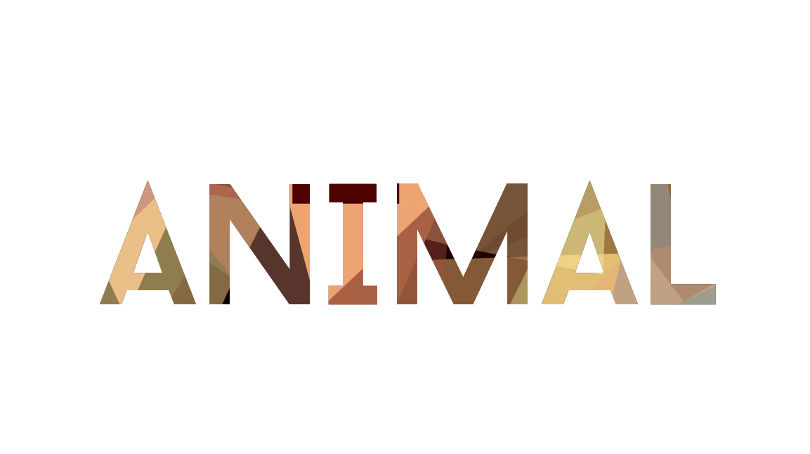 adobe illustrator animals illustracion colors Cubismo sombras pantone animales