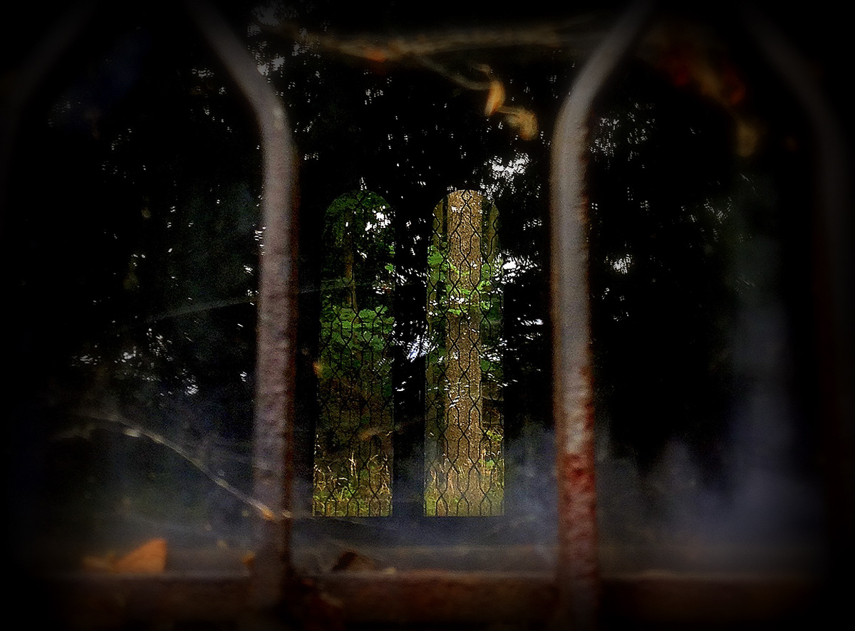 forest chapel Window walk