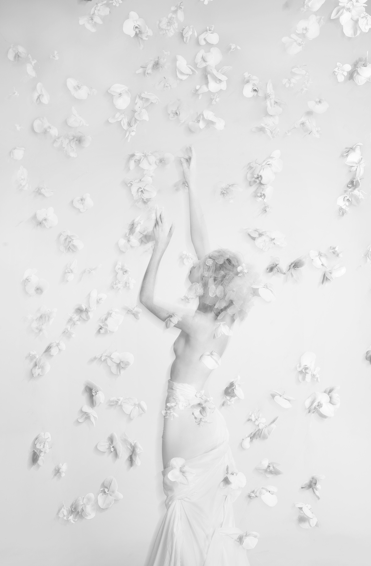 abstract art blurred Fashion  flower future model photo studio White