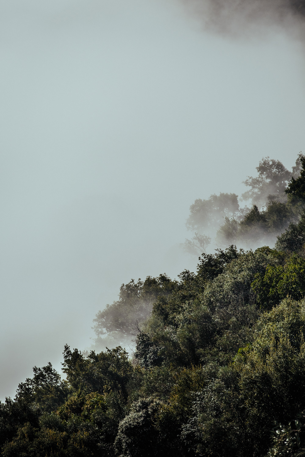 alvaro martino landscapes Alijó Portugal paisagens fog nevoeiro Douro Sun clouds