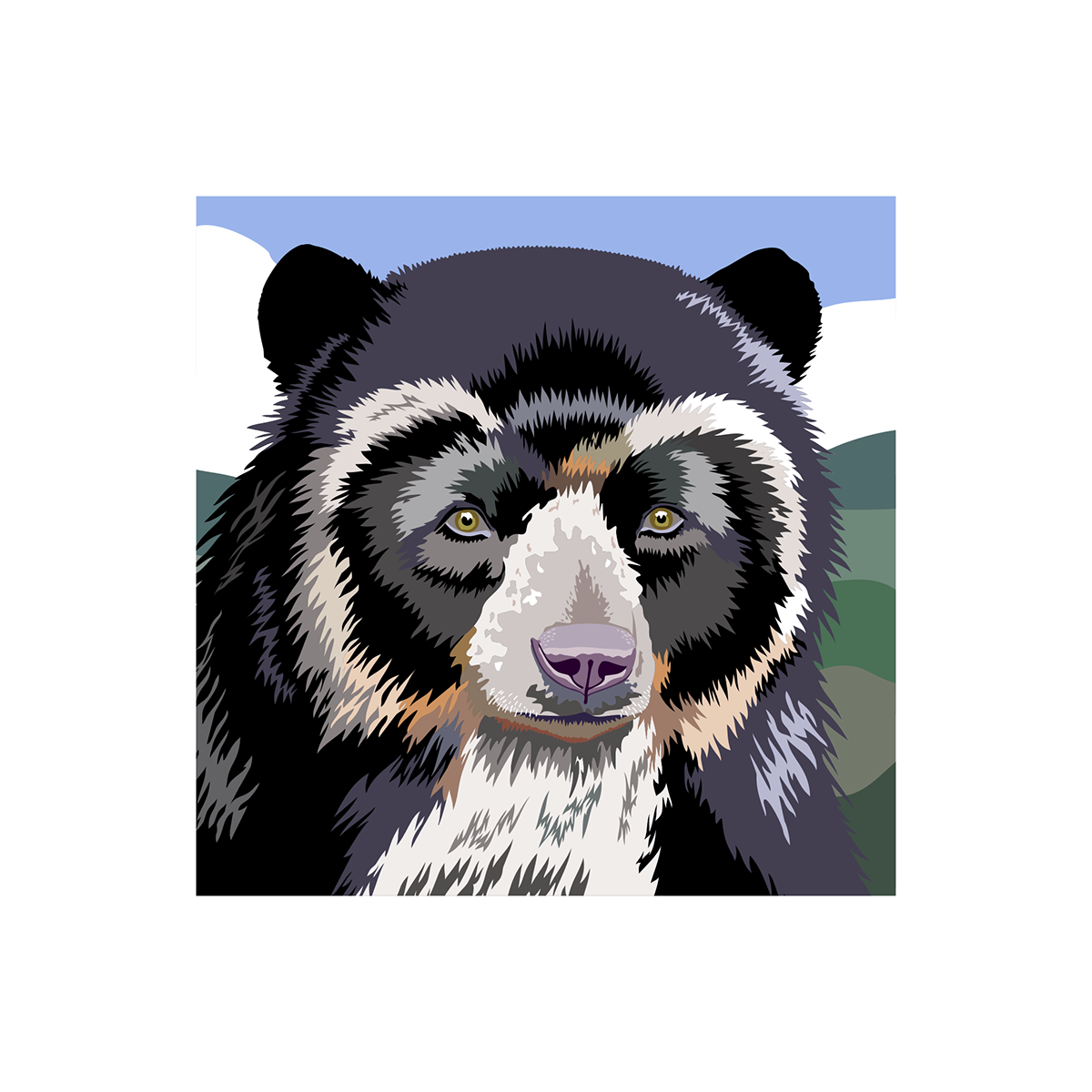 oso bear spectacled bear vector animal ILLUSTRATION  Pop Art WPAP Digital Art  colors