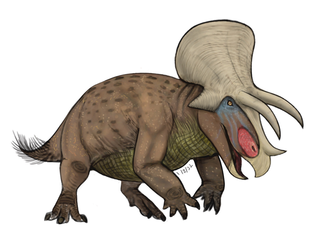 Dinosaur ILLUSTRATION  triceratops paleoart paleoillustration DigitalIllustration Original prehistoric