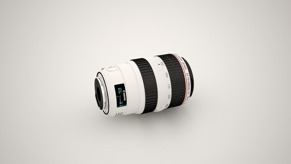 Canon 5D lens