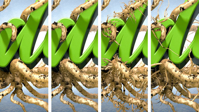 3D illustration 3d modeling 3D Photorealistic Rendering photo illustration  cinema 4d 3D photorealistic c4d roots Plant dirt