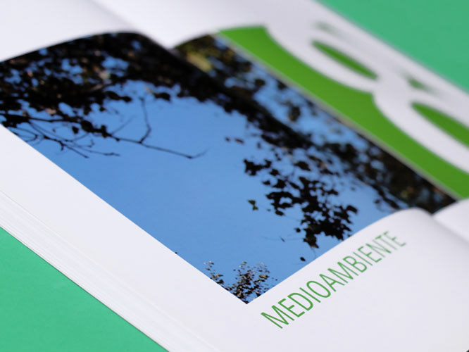 editorial graphics book corporativo infographics green