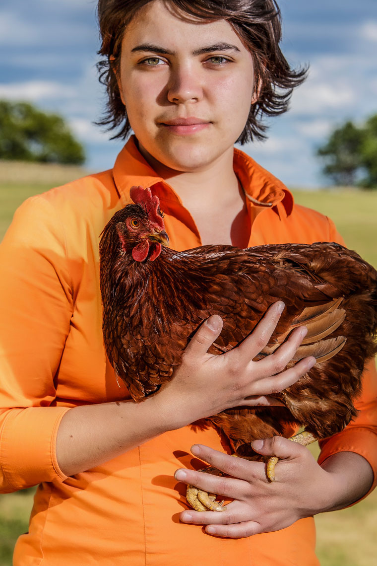 farm farmers rural lifestyle usa farm animals Livestock portrait gritty