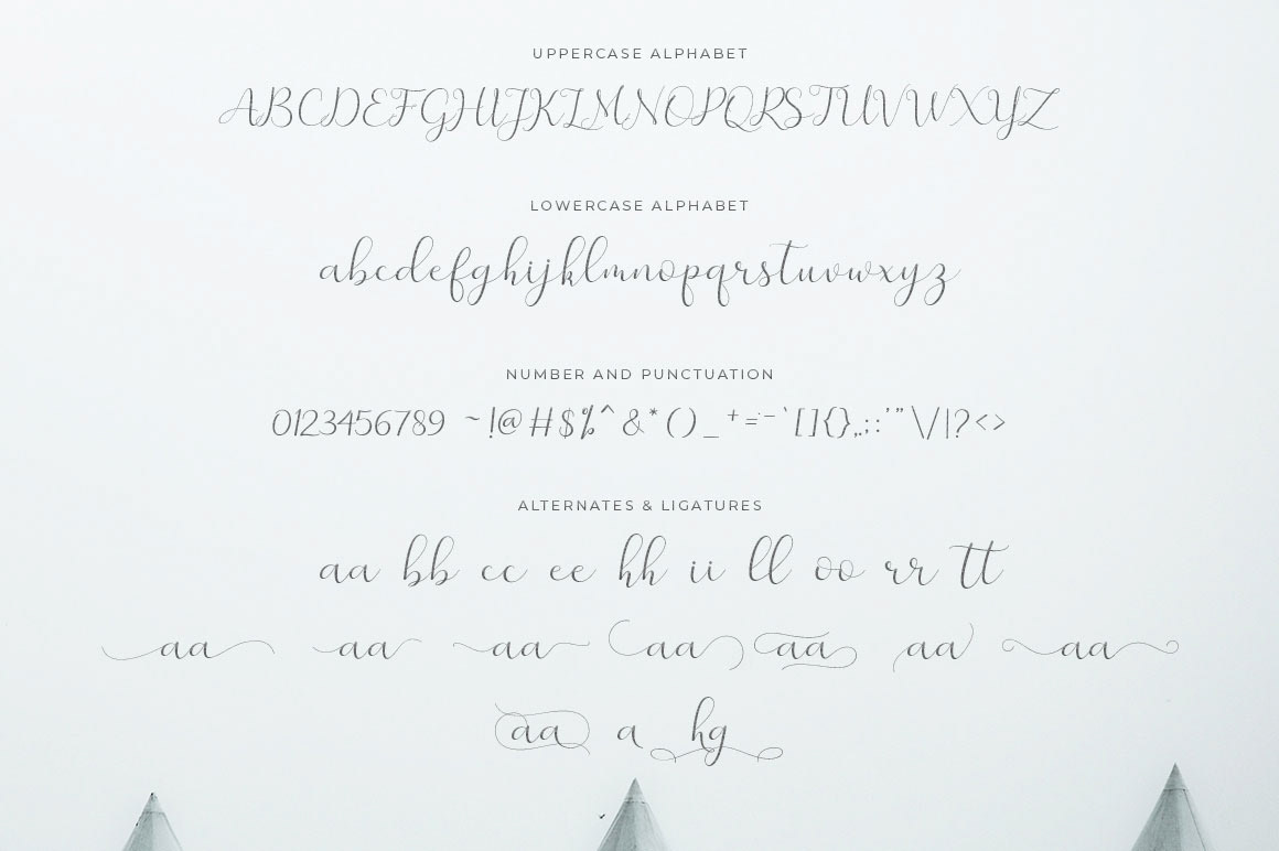 Calligraphy   feminine branding  Invitation handwriting Beautiful lettering elegant fancy prety