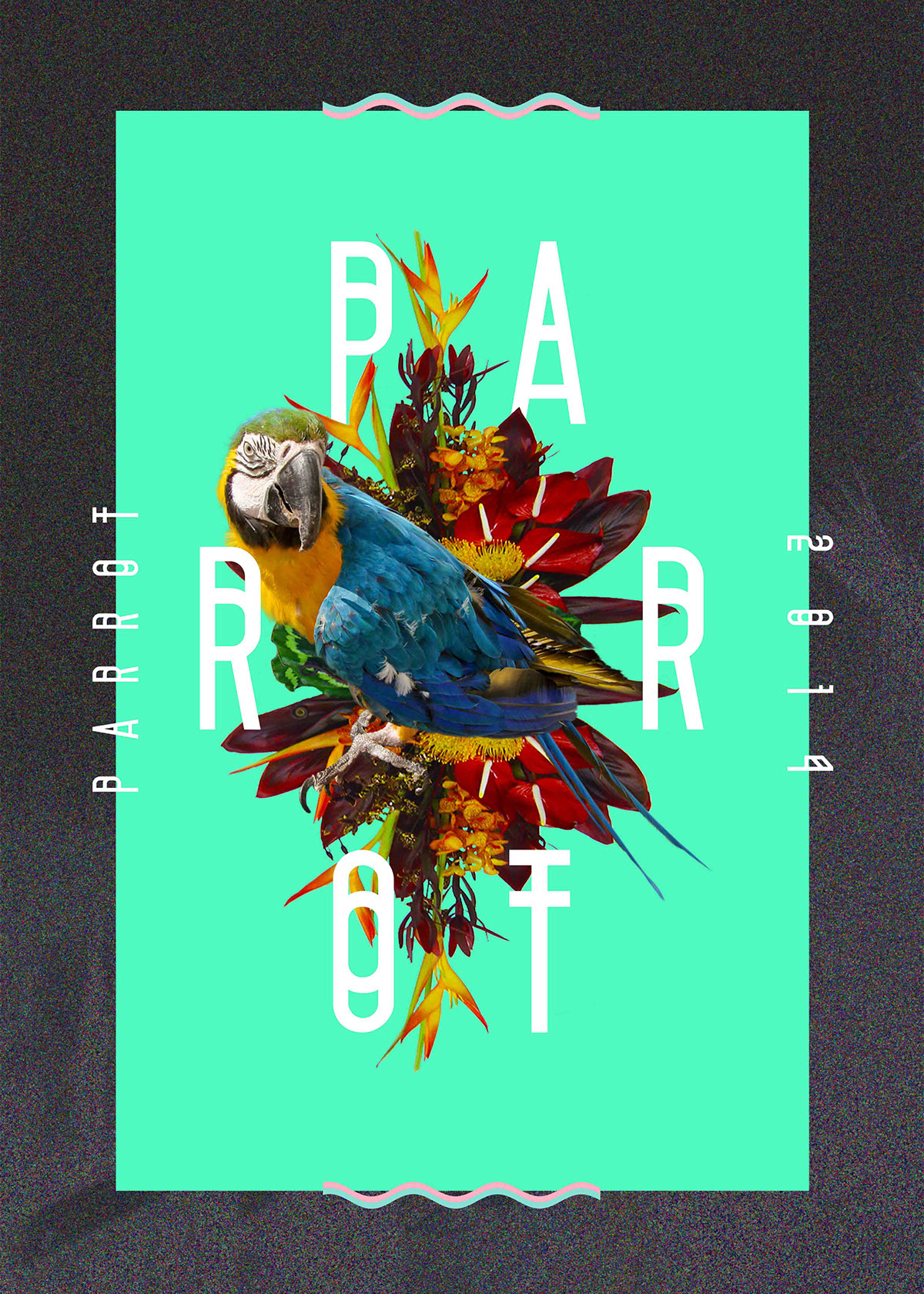 parrot collage poster esotic flower Collection vaporwave art animal