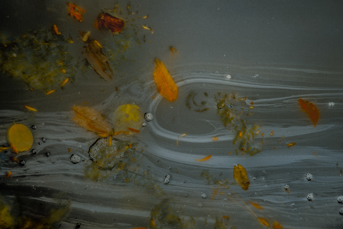 autumn abstract leaves water stream foliage multiple exposure