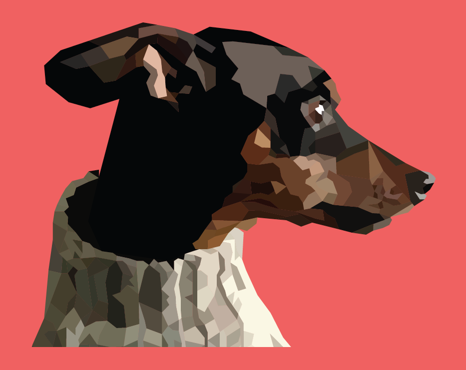 adobe illustrator Digital Art  dog ILLUSTRATION  portrait vector