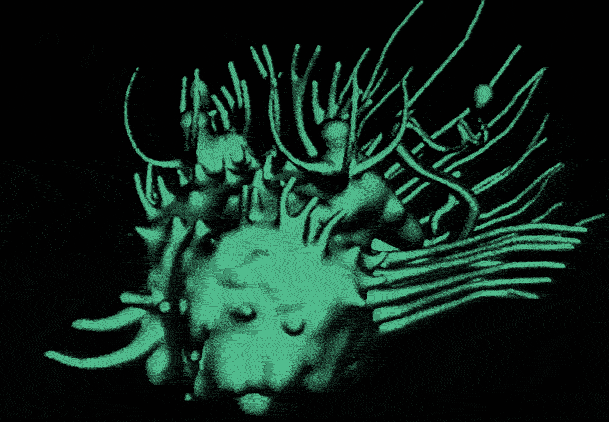 3D skull gif animation  Analogue analog horror atmosphere Film   experimental