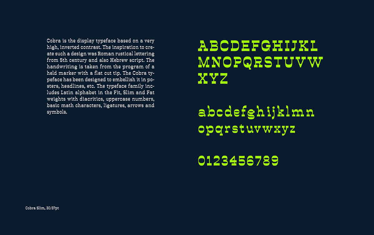 design font font design type design Typeface typeface designer typography   variable