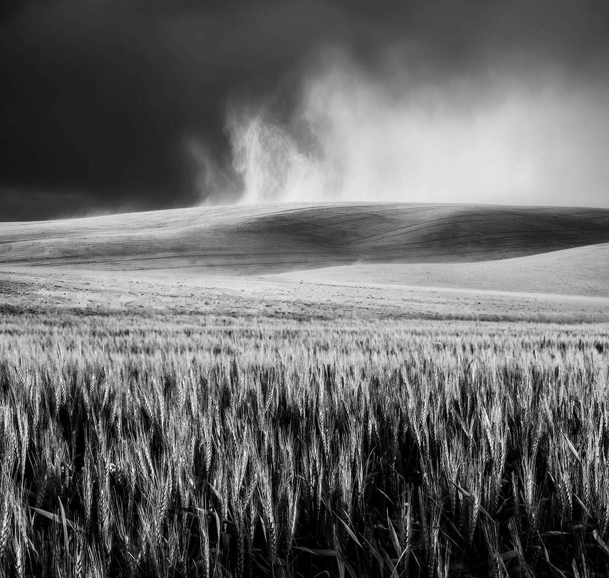 Landscape landscape photography Nature agriculture farm wheat winter