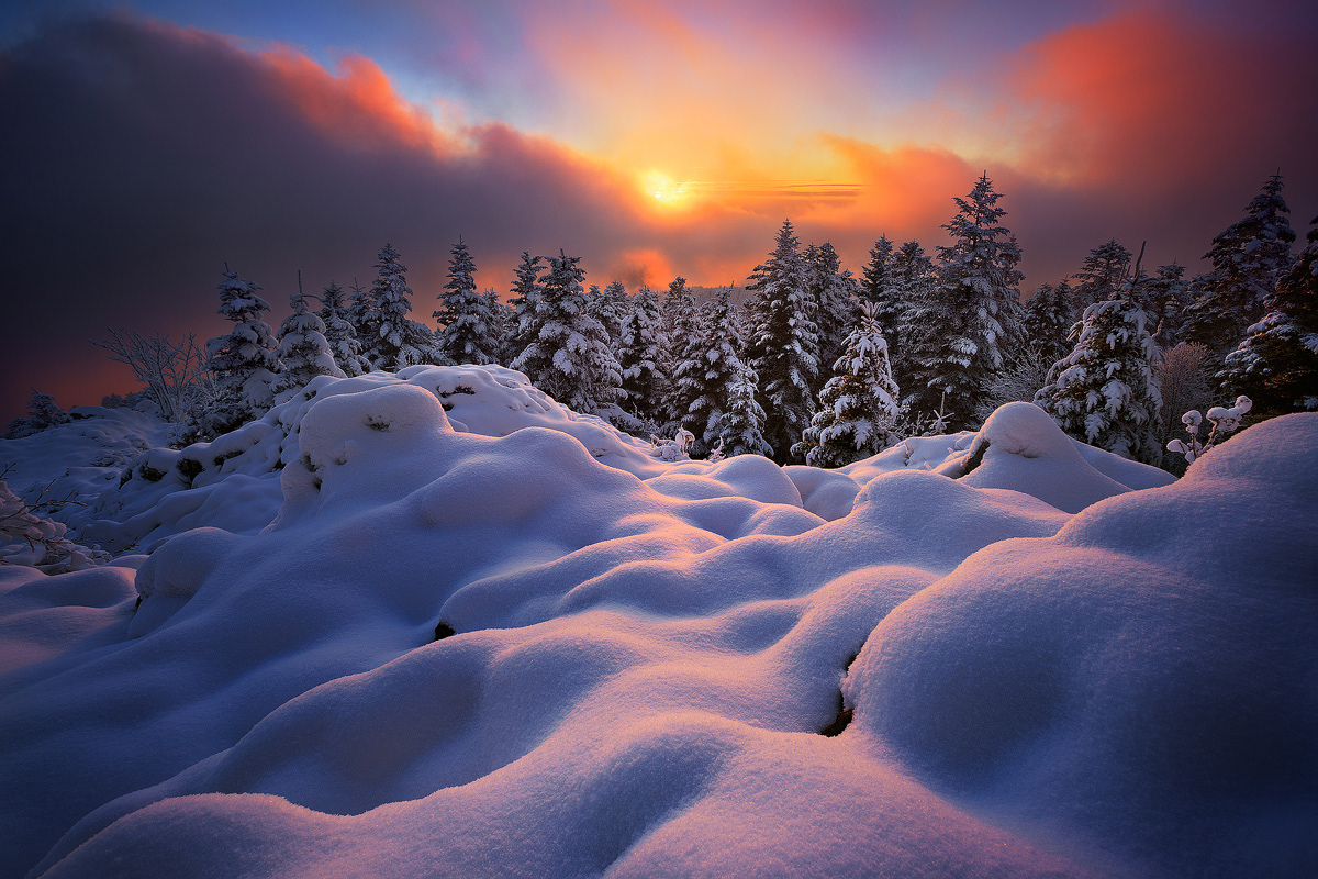 winter snow sunset Sunrise frost forest Landscape Photography  auvergne trees