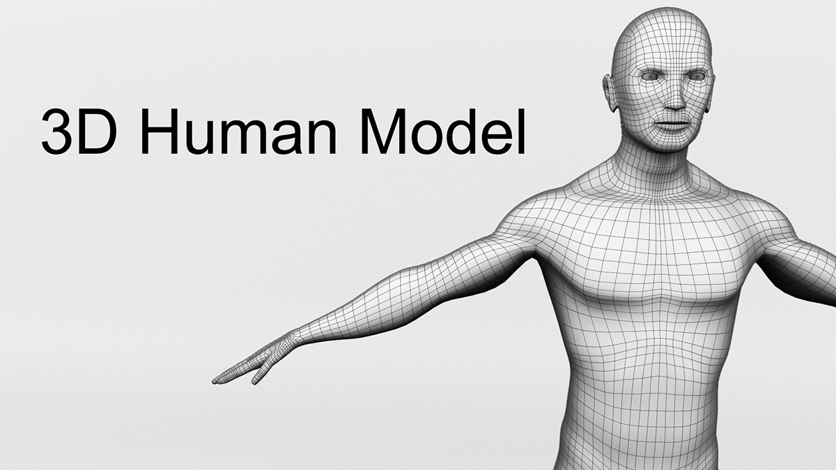 ziel voorjaar Strak 3D Human Model on Behance