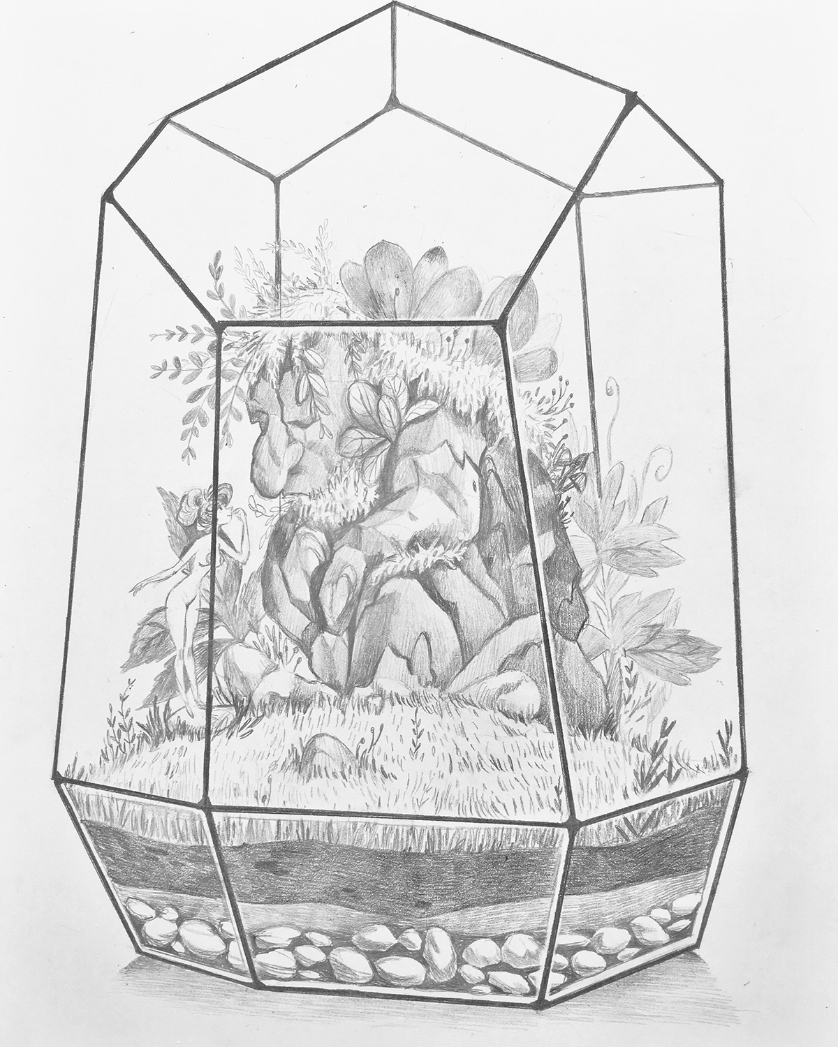 terrariums pencil Drawing  Fairies Nature printd