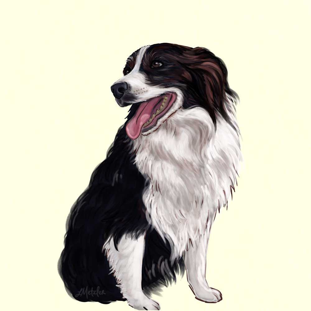 cartoon Digital Art  dog dog illustration ILLUSTRATION  Illustrator Pet Pet Portrait portrait puppy