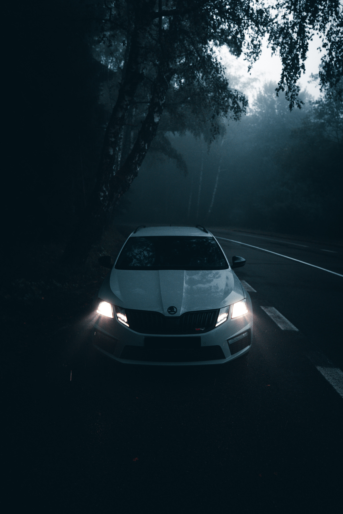 automobile automotive   car cyprian fog forest mood octavia Skoda slovakia