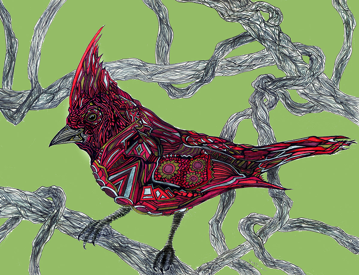bird  cardinal  funky  intergalactic Style voigtlander  pen  Brush pen  ink  branches  feathers red