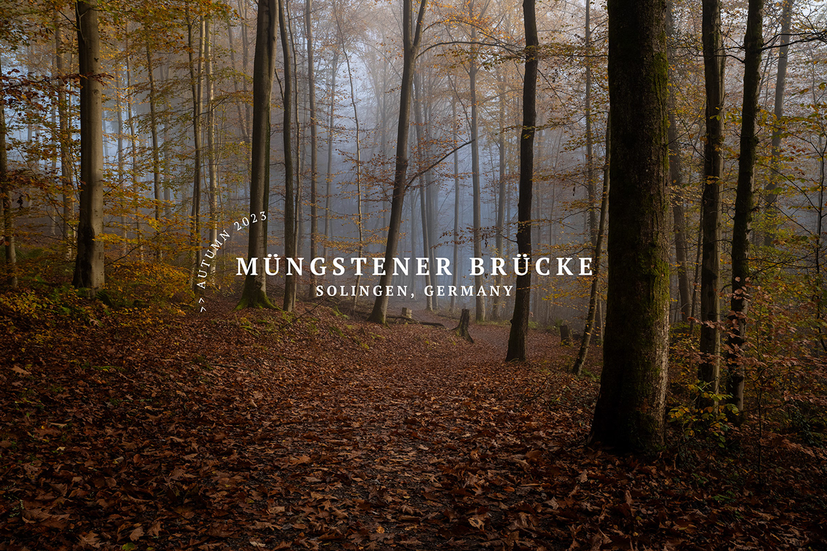 bridge train germany Landscape Photography  forest autumn