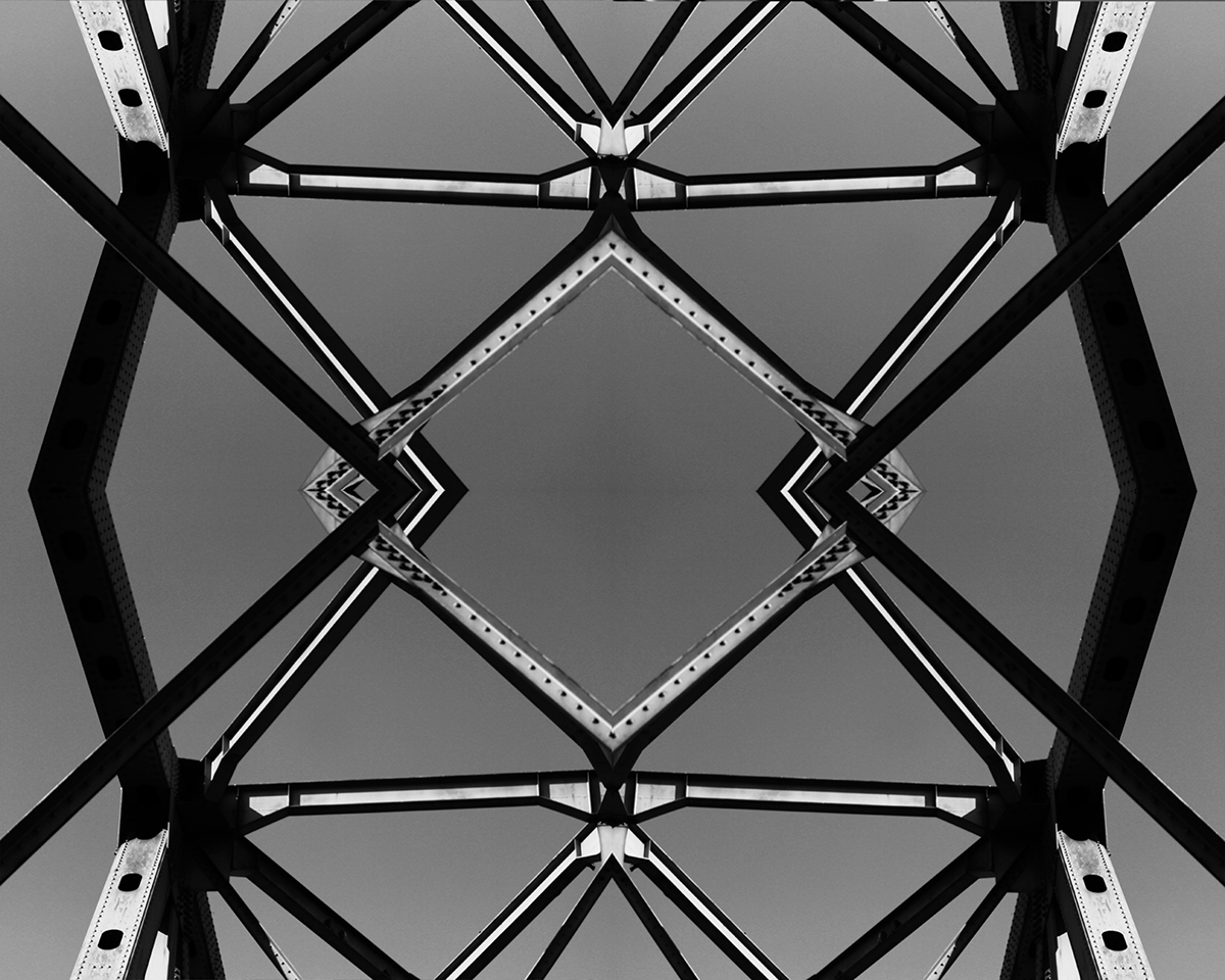 black and white Nature pattern Silhouette abstract