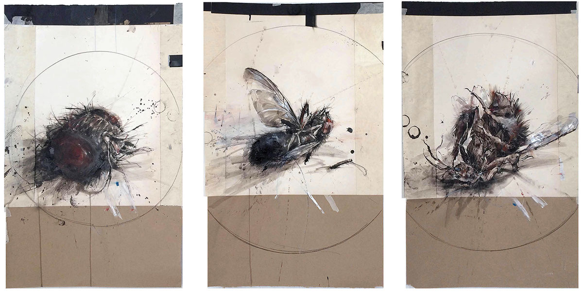 Francis Bacon Exhibition  Insects Triptych