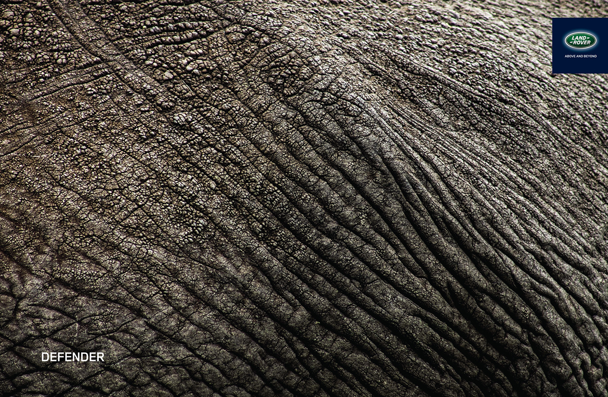 Land Rover defender ADV Cars print skin elephant Rhino Hippopotamus explore above and beyond extreme Travel
