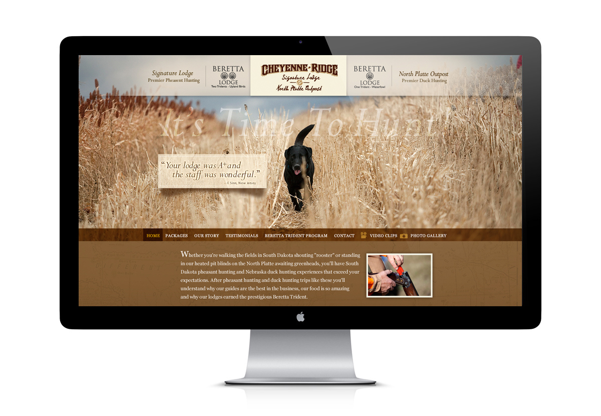 Adobe Portfolio Website Design