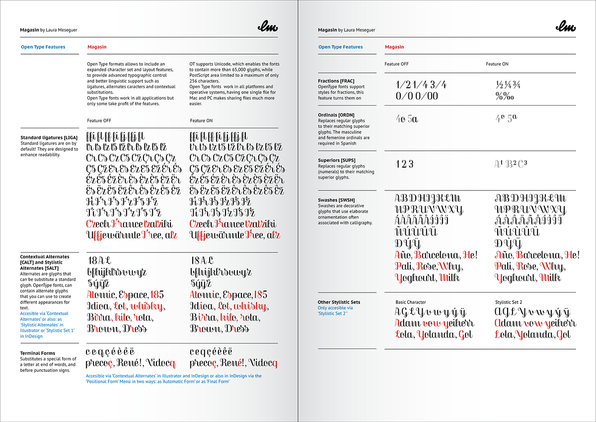 Display  lettering  type design calligraphic Script